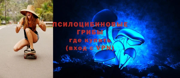 хмурый Вяземский
