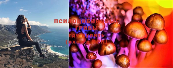 крисы Волоколамск