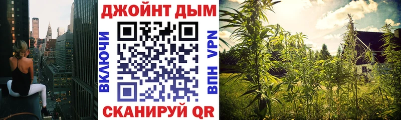 Бошки марихуана тримм  наркота  Семёнов 